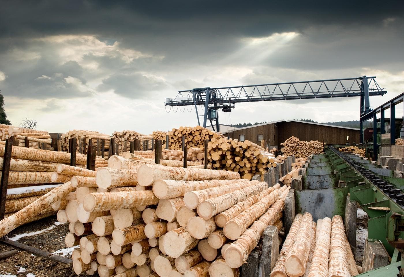 Canasia Forest Industries is Born